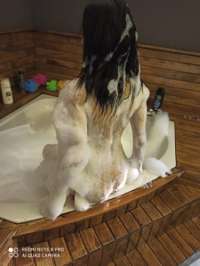 Enfes Toroslar Kızı: Ötesini Hayal Etmek için Hazırlanın