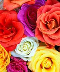 Erkeklerin sevmediği kadın kokuları