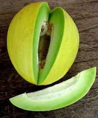 Erkeklerin sevmediği kadın kokuları