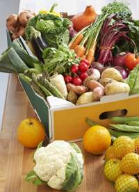 Saf ve Cazibeli Silifke Escort: Hayalinizdeki Aşk Deneyimi