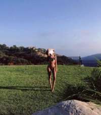 Yenişehir'in Ateşli ve Esrarengiz Güzeli, Escort Çıtır Işıl